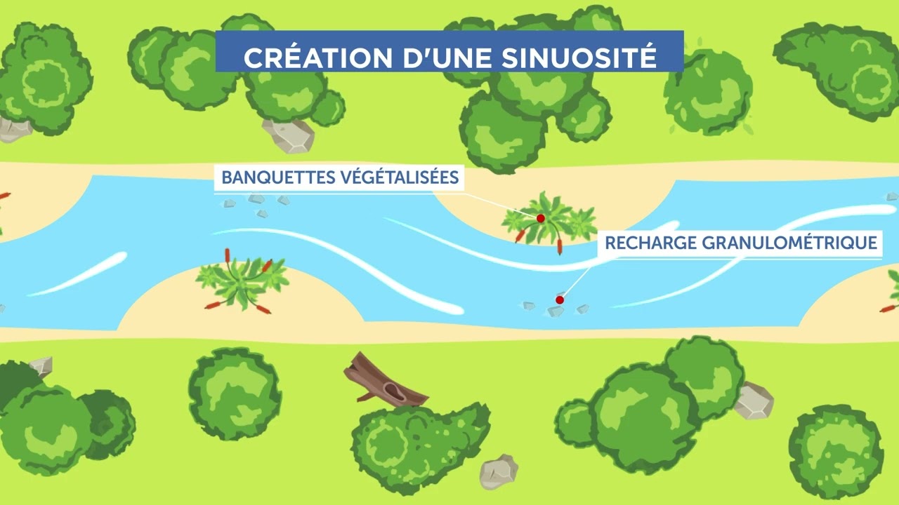 Extrait motion design EPAMA : création d’une sinuosité